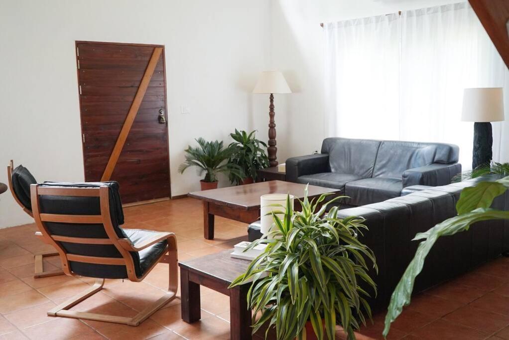 Casa Moes Villa Cahuita Kültér fotó